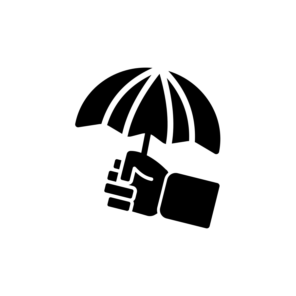Regional Insurance Carrier